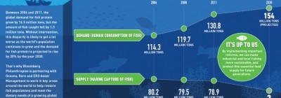 Bloomberg Foundation Dedicates $53 Million To Restore Ocean Fish