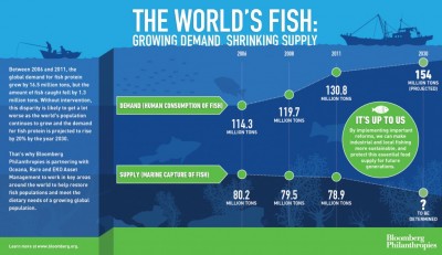 Bloomberg Foundation Dedicates $53 Million To Restore Ocean Fish
